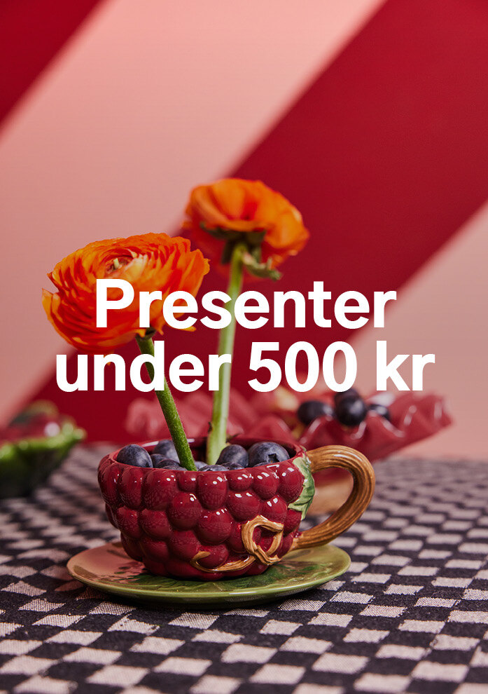 Presenttips under 500 kr 