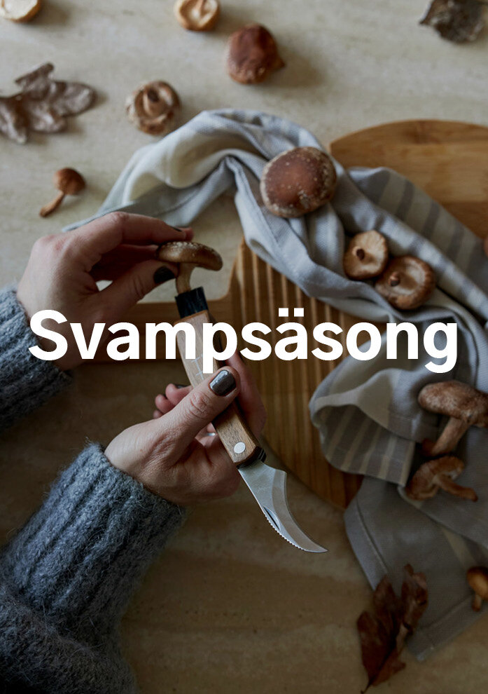 Svampsäsong